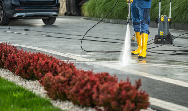 Best Soft Washing  in Berry Creek, CA